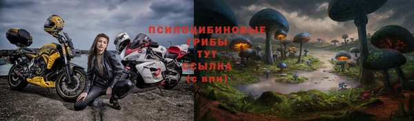 мдпв Заволжск