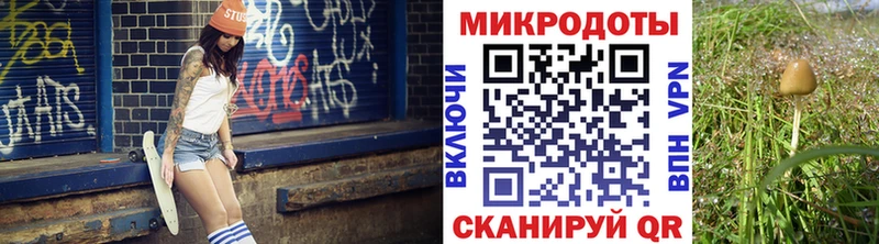 Галлюциногенные грибы мицелий  Исилькуль 