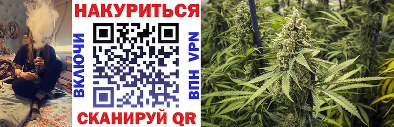 OMG онион  Исилькуль  Бошки марихуана Bruce Banner 